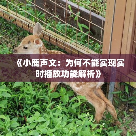 第1782页