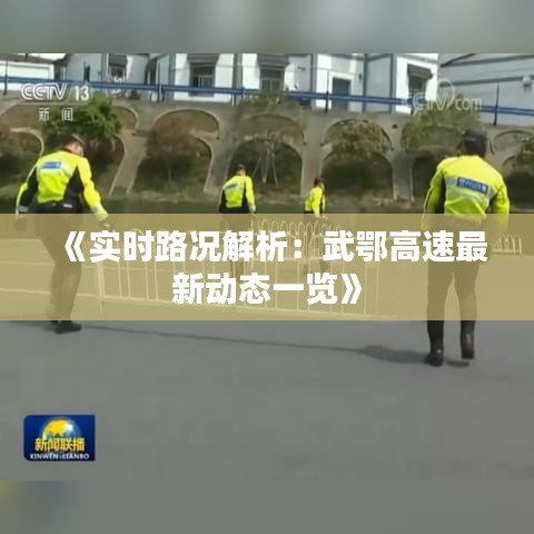 《实时路况解析：武鄂高速最新动态一览》