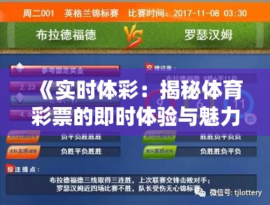 《实时体彩：揭秘体育彩票的即时体验与魅力》