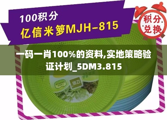 一码一肖100%的资料,实地策略验证计划_5DM3.815