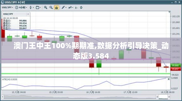 澳门王中王100%期期准,数据分析引导决策_动态版3.584