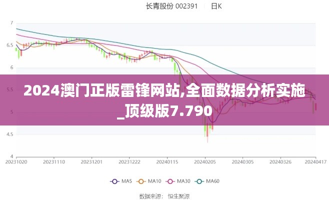 2024澳门正版雷锋网站,全面数据分析实施_顶级版7.790