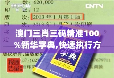 澳门三肖三码精准100%新华字典,快速执行方案解答_Tizen17.893