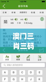 澳门三肖三码精准100%新华字典,快速执行方案解答_Tizen17.893