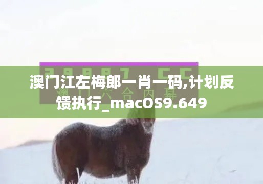 澳门江左梅郎一肖一码,计划反馈执行_macOS9.649