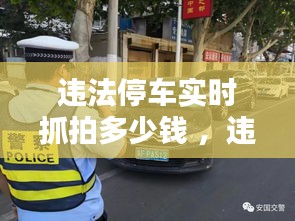 违法停车实时抓拍多少钱 ，违章停车实时抓拍