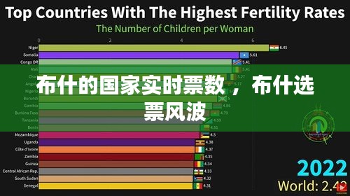 布什的国家实时票数 ，布什选票风波