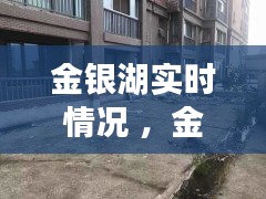 笼中之鸟 第3页