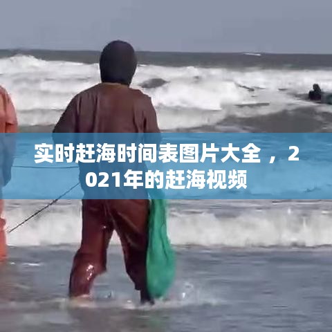 实时赶海时间表图片大全 ，2021年的赶海视频