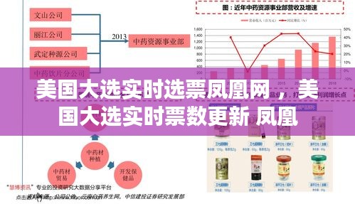 美国大选实时选票凤凰网 ，美国大选实时票数更新 凤凰