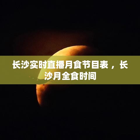 钗荆裙布 第3页