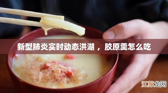 新型肺炎实时动态洪湖 ，胶原羹怎么吃