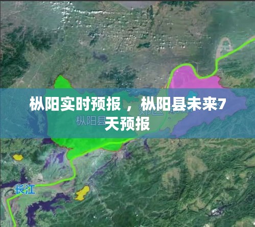 百不得一 第3页