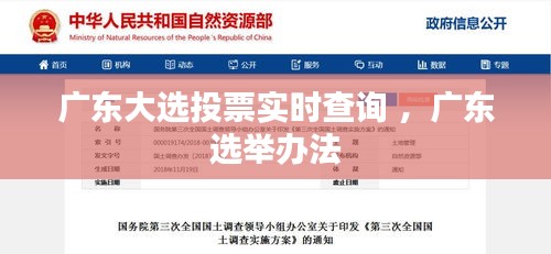 广东大选投票实时查询 ，广东选举办法