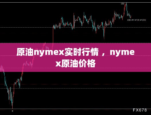 七上八下 第4页