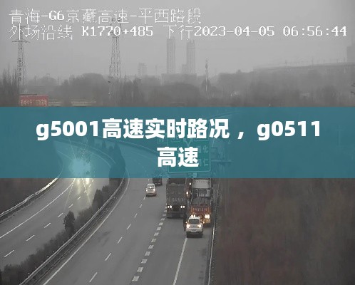 张张屈屈 第3页