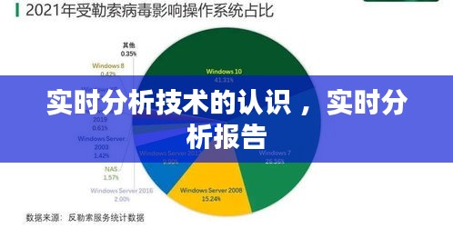 实时分析技术的认识 ，实时分析报告