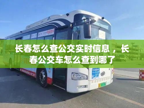 长春怎么查公交实时信息 ，长春公交车怎么查到哪了