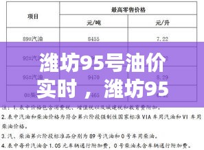 潍坊95号油价实时 ，潍坊95号汽油多少钱一升