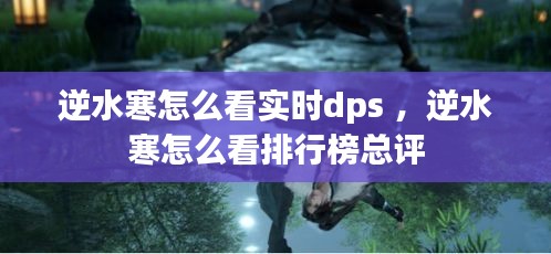 逆水寒怎么看实时dps ，逆水寒怎么看排行榜总评