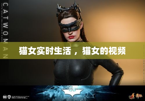 熊经鸟申 第3页