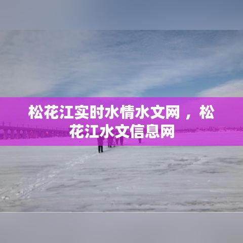 松花江实时水情水文网 ，松花江水文信息网