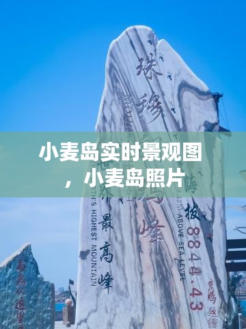 小麦岛实时景观图 ，小麦岛照片