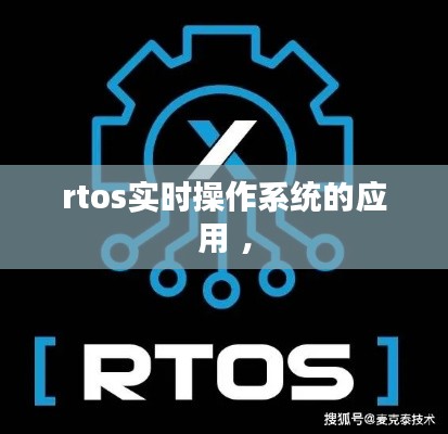 真独简贵 第3页