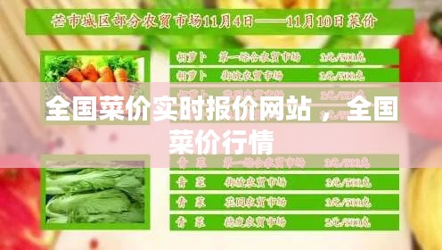 全国菜价实时报价网站 ，全国菜价行情
