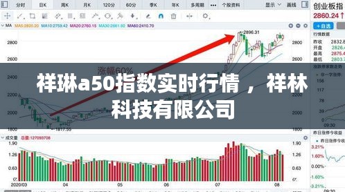 矫枉过正 第3页