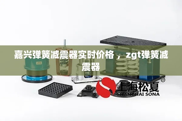 嘉兴弹簧减震器实时价格 ，zgt弹簧减震器