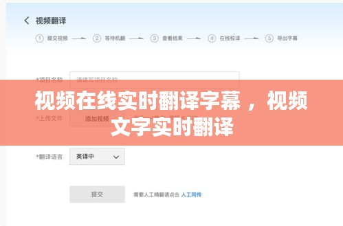视频在线实时翻译字幕 ，视频文字实时翻译
