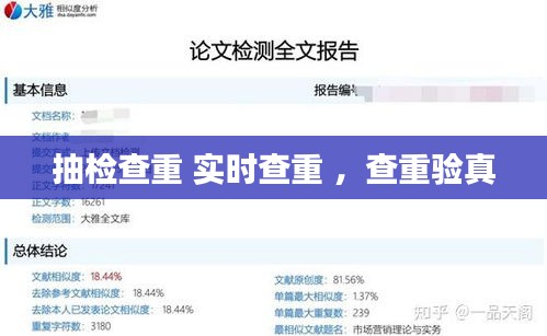 新闻动态 第143页