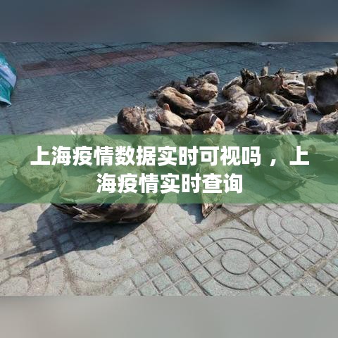 上海疫情数据实时可视吗 ，上海疫情实时查询