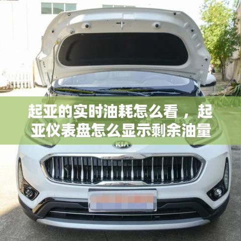 起亚的实时油耗怎么看 ，起亚仪表盘怎么显示剩余油量