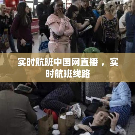 实时航班中国网直播 ，实时航班线路