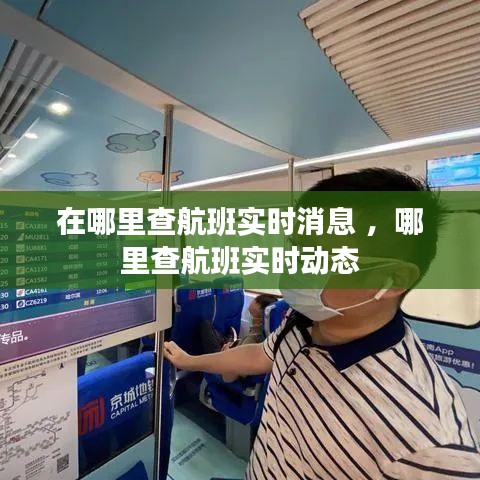在哪里查航班实时消息 ，哪里查航班实时动态