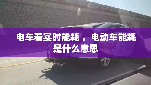 林下风气 第3页