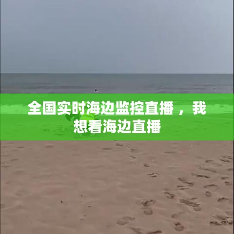 全国实时海边监控直播 ，我想看海边直播