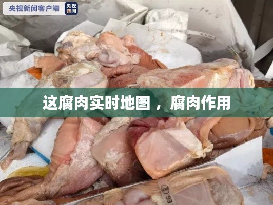 神清气朗 第3页