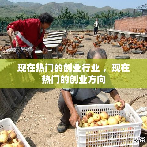 现在热门的创业行业 ，现在热门的创业方向