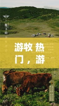 游牧 热门 ，游牧的概念