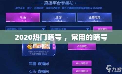 达官贵人 第3页