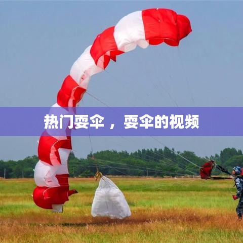 尖嘴猴腮 第3页
