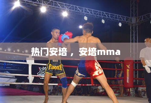 将机就机 第2页