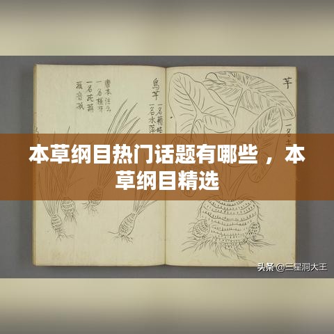 本草纲目热门话题有哪些 ，本草纲目精选