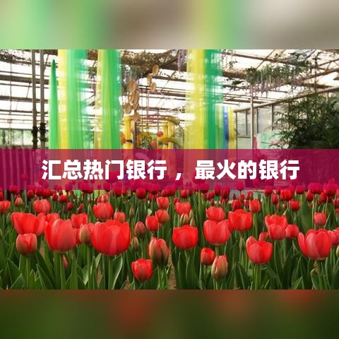 汇总热门银行 ，最火的银行