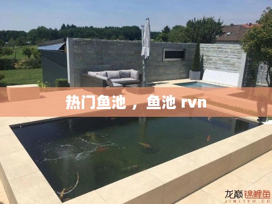热门鱼池 ，鱼池 rvn