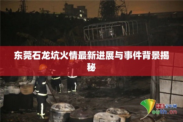 东莞石龙坑火情最新进展与事件背景揭秘