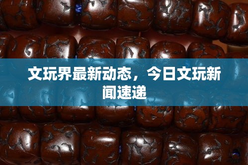 真独简贵 第2页